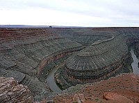 gooseneck (9).JPG